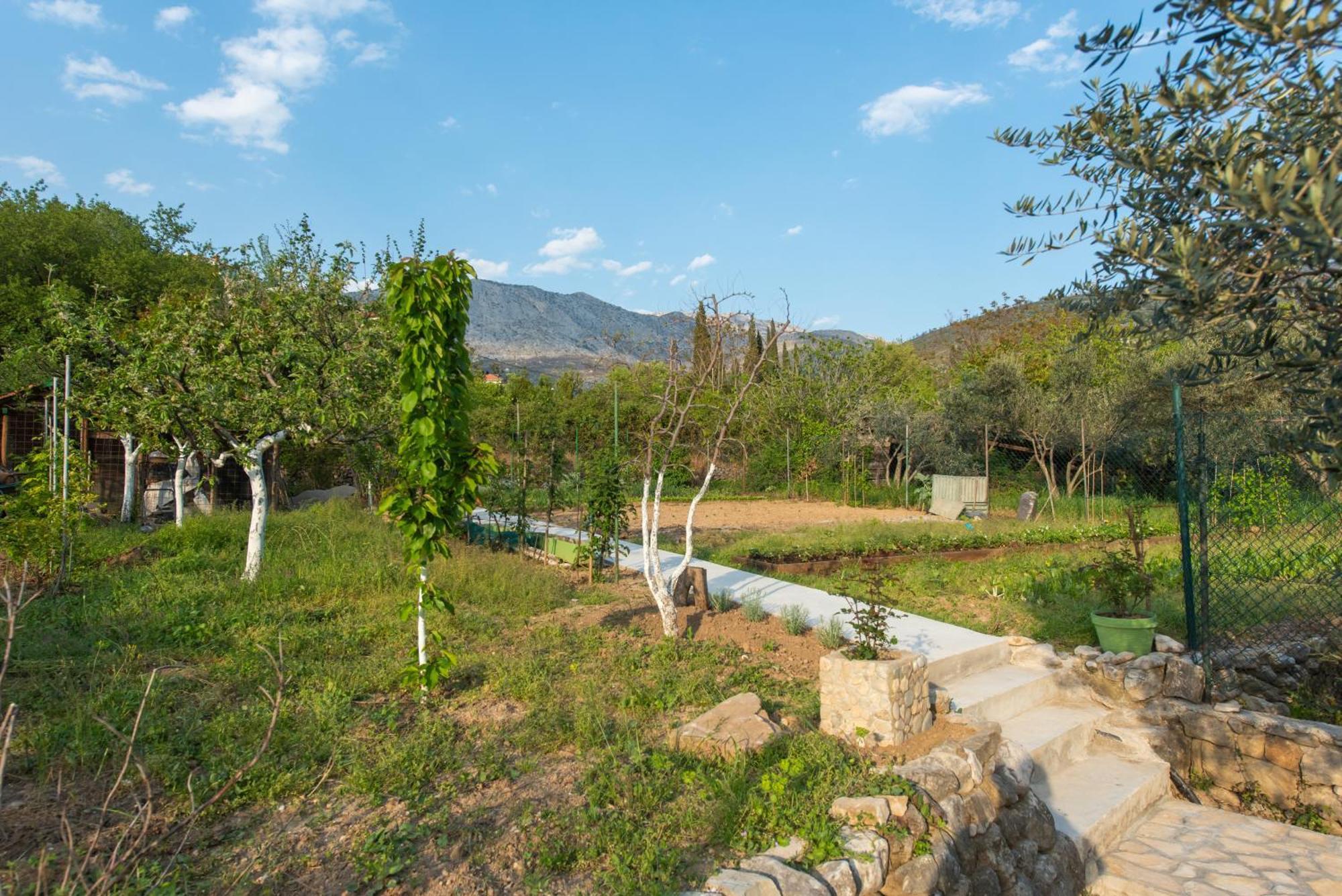 Peace Point Villa Zrnovnica Ngoại thất bức ảnh